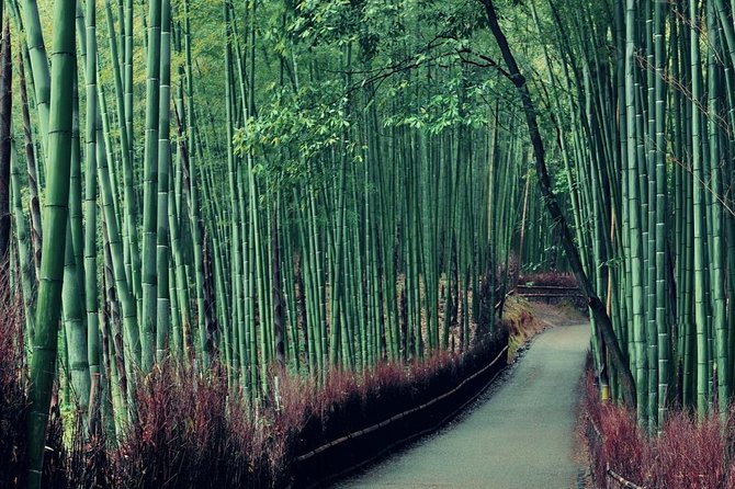 Cruise Stop-Over: Private Custom Day trip to Kyoto from Kobe Port - Host-built planning: the questionnaire is your real superpower