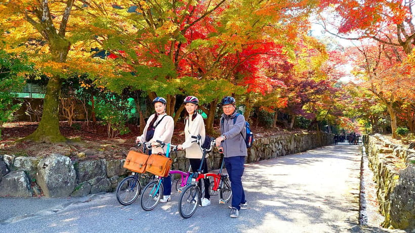 Cycling Tour at Uji's Matcha Green Tea Fields and Heritage - Key things that make this Uji cycling tour worth your time