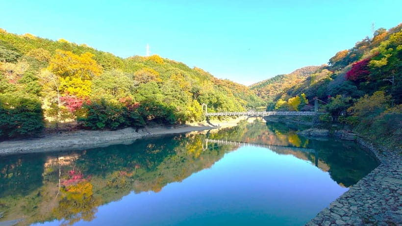 Cycling Tour at Uji's Matcha Green Tea Fields and Heritage - Chazuna and the matcha-focused stop that sets the tone