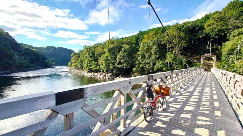 Cycling Tour at Uji's Matcha Green Tea Fields and Heritage - Who this Uji Brompton tour suits best