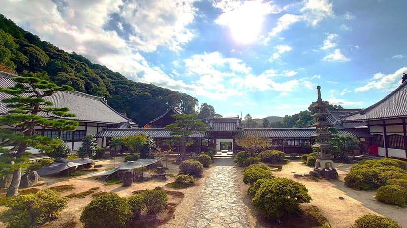 Cycling Tour at Uji's Matcha Green Tea Fields and Heritage - The Uji River quiet course and Tō-no-shima Island photo breaks