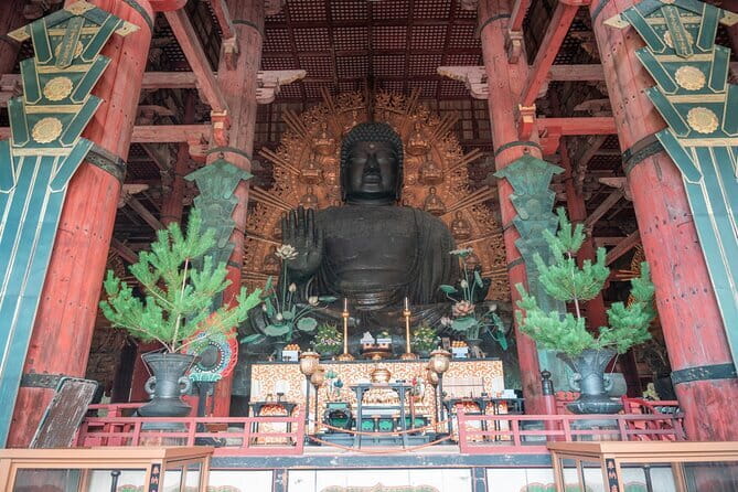 Discover Ancient Nara: Private Car Tour from Kyoto or Osaka - Your day starts in Kyoto or Osaka, then switches gears in Nara