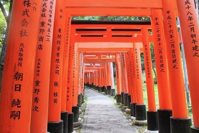 Discover Himeji, Kobe and Nara from Osaka - Nara Park Deer Photos Plus Tōdai-ji at Your Pace