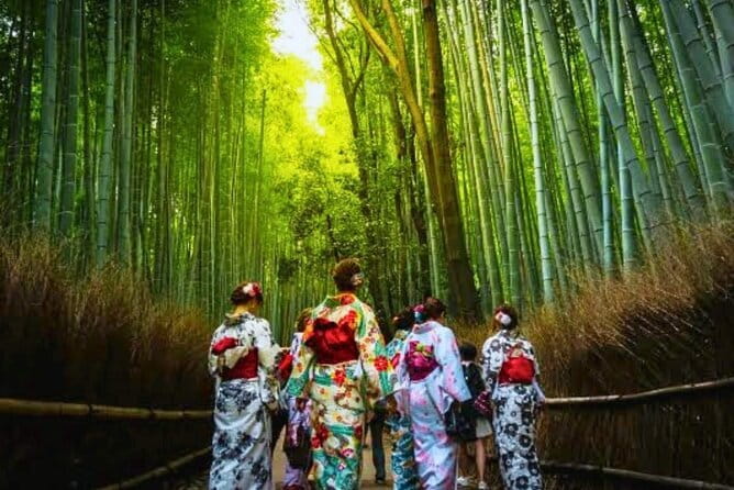 Discover Himeji, Kobe and Nara from Osaka - Who This Tour Suits Best (And Who Might Want Something Else)