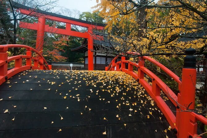 Discover Kyoto by Bike: Authentic Half Day Tour - The Mamachari rental: gears, comfort, and how the tour actually moves