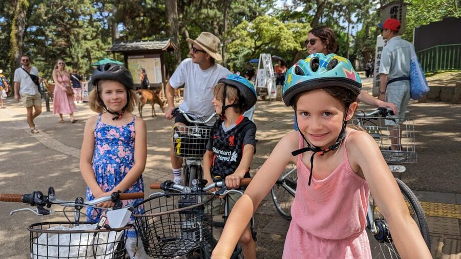 E-Bike Nara Highlights - Todaiji, Knives, Deer, Shrine - Nara Park deer time: cookies, photos, and animal etiquette