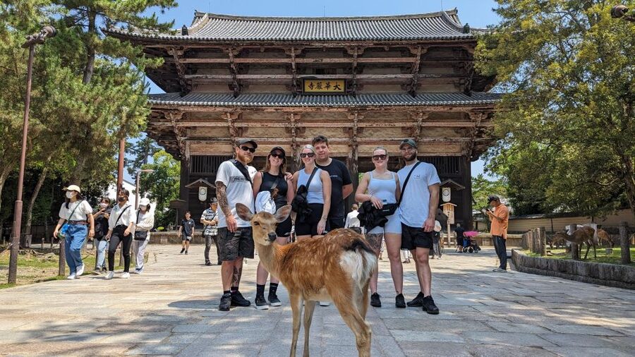 E-Bike Nara Highlights - Todaiji, Knives, Deer, Shrine - Who should book this tour, and who should reconsider