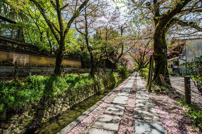 Early Bird E-biking through East Kyoto - Lunch and cafe breaks: what you gain beyond food
