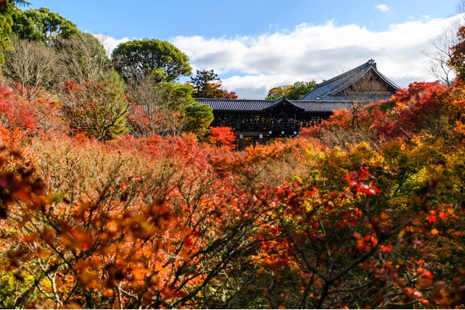 Early Bird E-biking through East Kyoto - Guides matter: English, pacing, and insider context