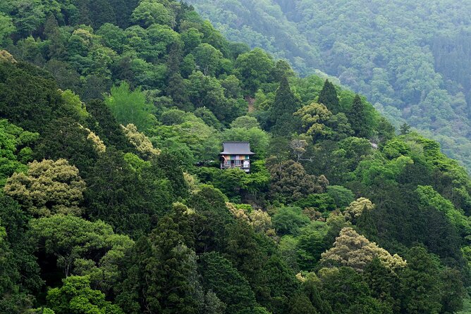 Explore Arashiyama Bamboo Forest with Authentic Zen Experience - Practical tips so the day stays enjoyable