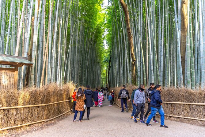 Explore Arashiyama Bamboo Forest with Authentic Zen Experience - Arashiyama Bamboo Forest with a Zen rhythm (not a photo rush)