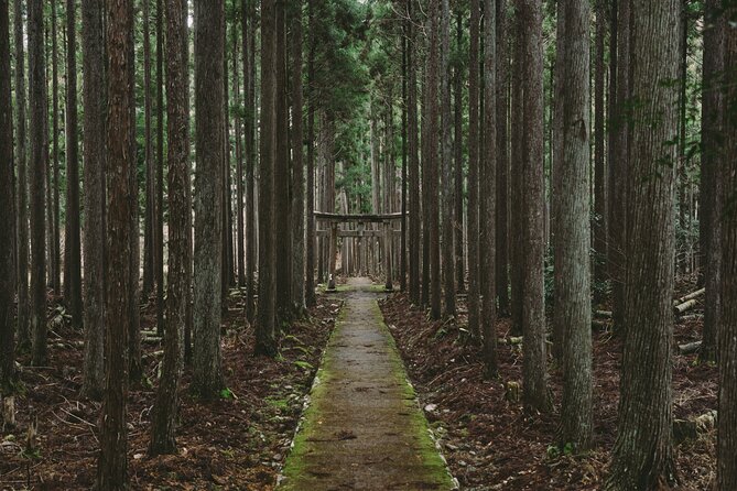 From Bamboo to Hidden Shrines: Kyoto’s Private Escape Tour by Car - Key Highlights Before You Go