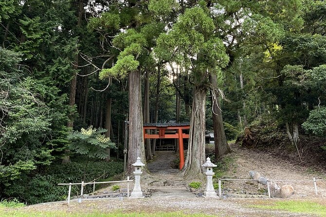 From Bamboo to Hidden Shrines: Kyoto’s Private Escape Tour by Car - Price and Value: What $95 Buys You in Real Life