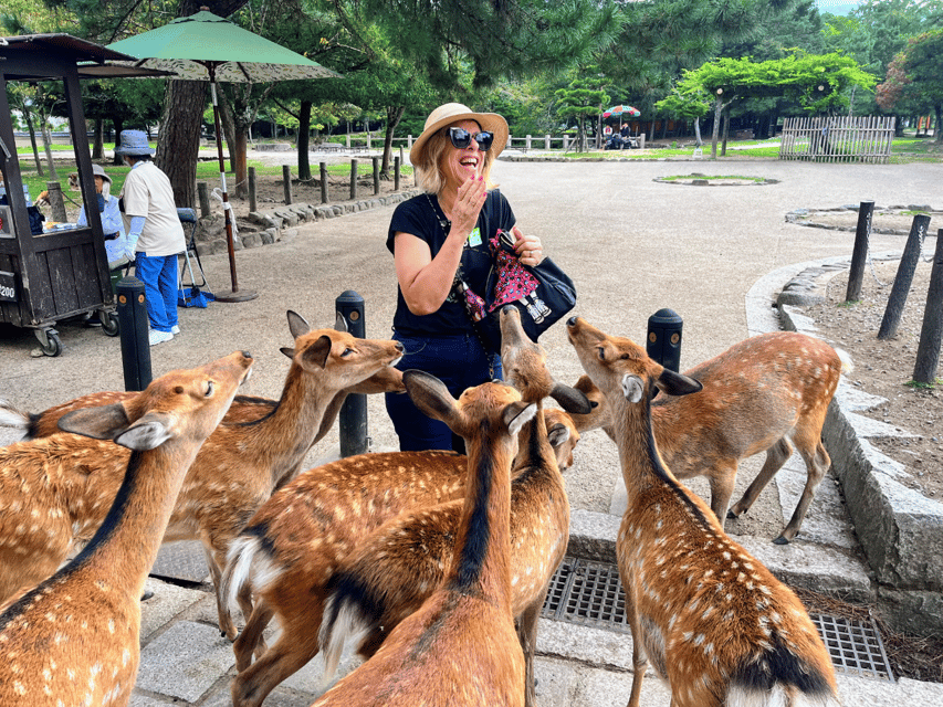 From Kyoto: Nara Guided Morning Tour - Key highlights worth waking up for