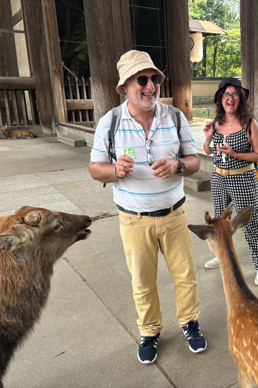 From Kyoto: Nara Guided Morning Tour - A fast half-day that hits Todaiji, deer, and UNESCO