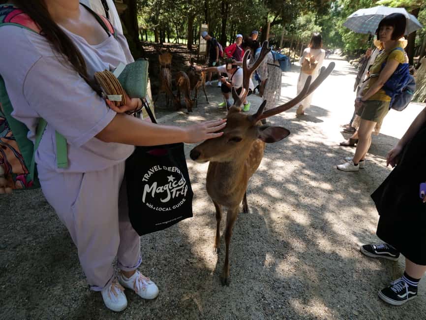 From Kyoto or Osaka: Kyoto Highlights & Nara Park Day Trip - Fushimi Inari-taisha: Orange Torii Gates, Blessings, and the Horses