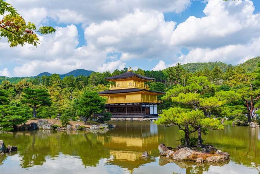From Kyoto or Osaka: Kyoto Highlights & Nara Park Day Trip - Nara Park at Around 3:30 p.m.: Deer Feeding and Autumn Color