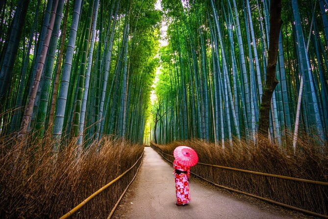 From Kyoto / Osaka: Kyoto Must-see Spots & Nara Park One Day Tour - A Packed Day Linking Kyoto, Nara, and Arashiyama