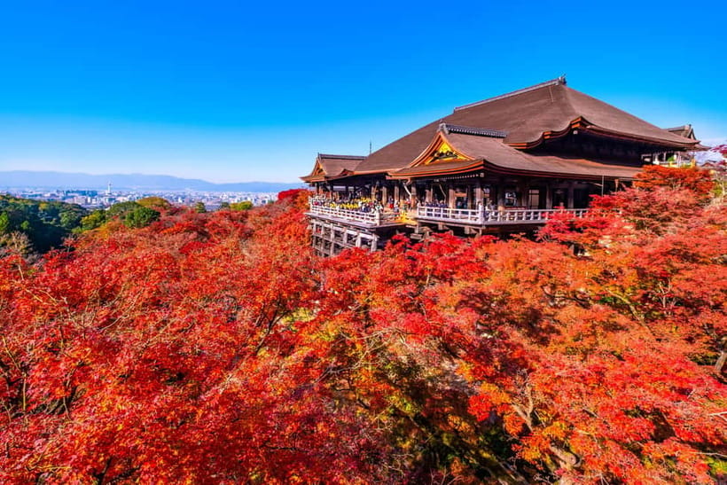 From Kyoto/Osaka: Kyoto Top Highlights 1-Day Guided Bus Tour - Lunch options: choose carefully based on your dietary needs
