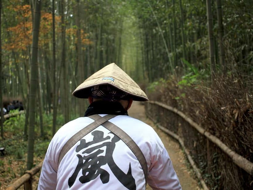 From Kyoto/Osaka: Kyoto Top Highlights 1-Day Guided Bus Tour - Why this Kyoto highlights day tour works (especially if time is tight)