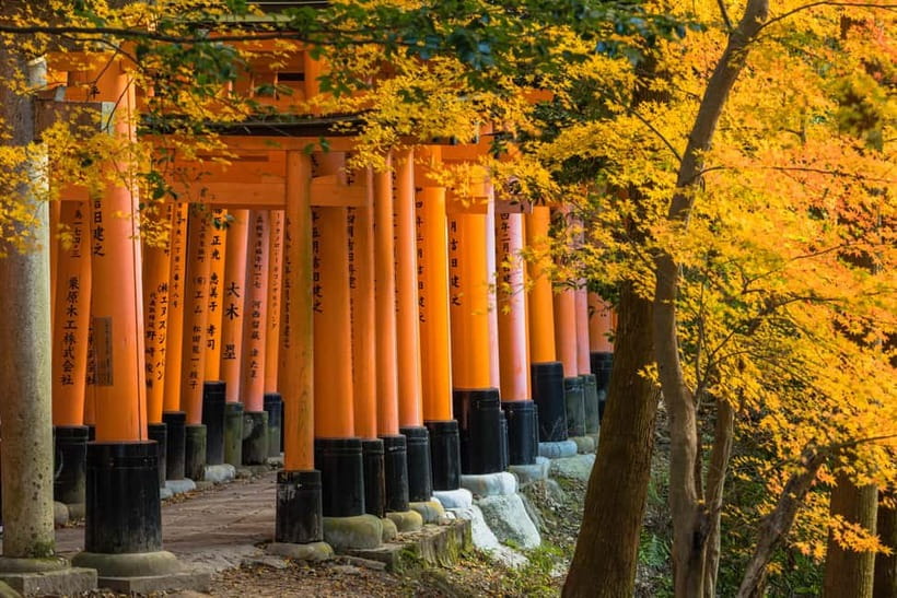 From Kyoto/Osaka: Kyoto Top Highlights 1-Day Guided Bus Tour - Kinkaku-ji: Golden Pavilion timing and how to enjoy the gardens