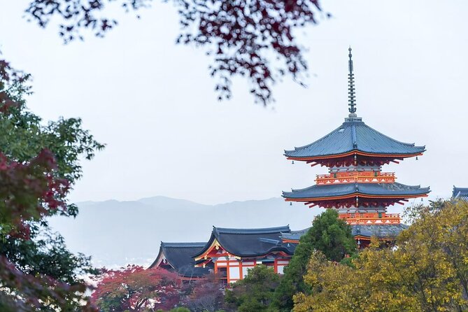 From Osaka: 10-hour Private Customizable Tour to Kyoto - Pacing that works: families, groups, and crowd control