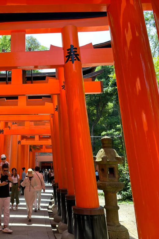 From Osaka/Kyoto: Kyoto, Nara, and Fushimi Inari Day Trip - Nara Park Deer Encounters You Should Do the Respectful Way