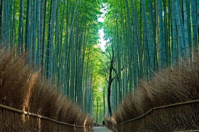 From Osaka/Kyoto: Kyoto & Nara Day Trip with Optional Lunch - Key things I’d focus on before you go