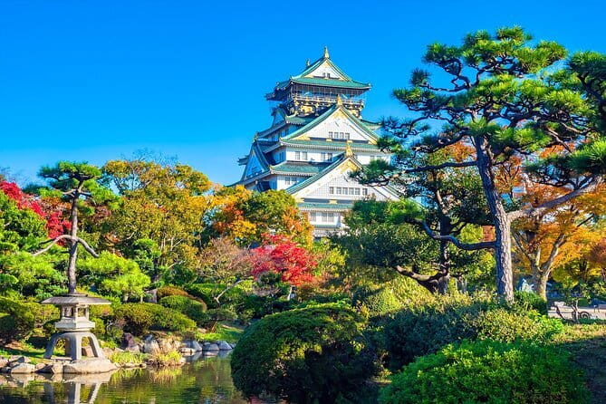 From Osaka/Kyoto: Kyoto & Nara Day Trip with Optional Lunch - Bus comfort, parking closeness, and the one rule that can make or break your day