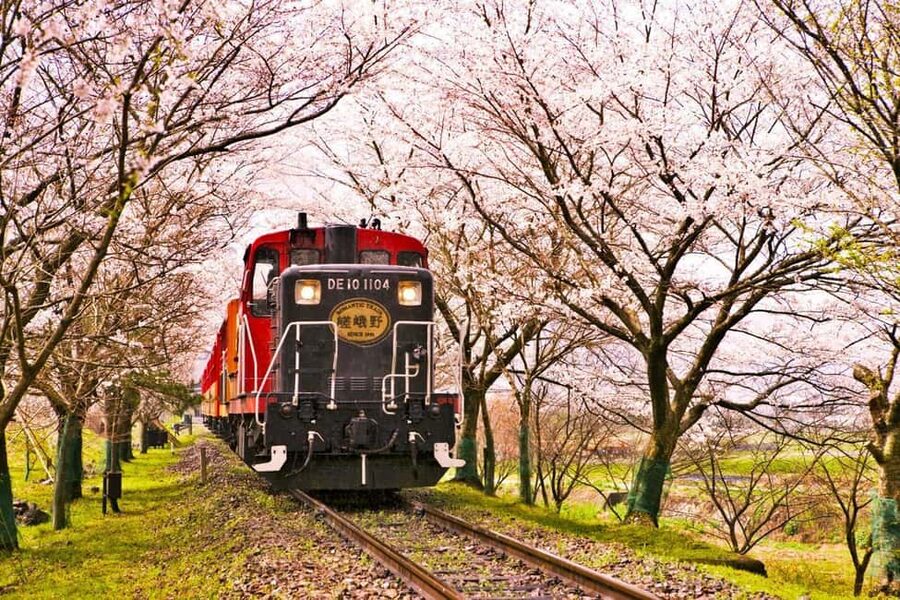 From Osaka: Kyoto, Nara, Fushimi Inari & Arashiyama Day Tour - Price and Value for a $56 One-Day Plan