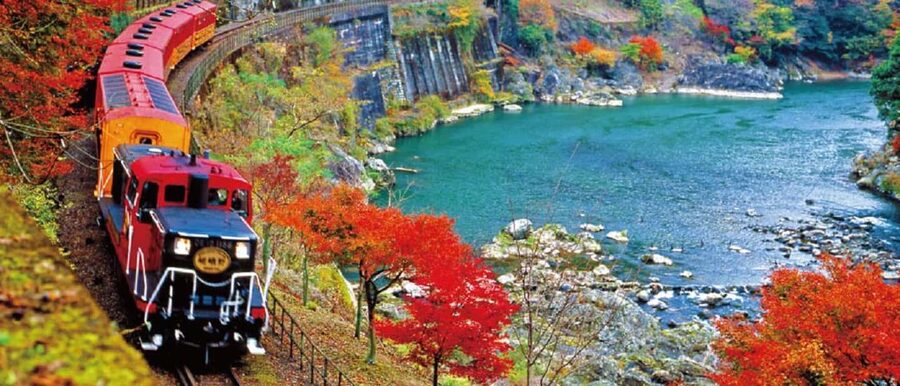 From Osaka: Kyoto, Nara, Fushimi Inari & Arashiyama Day Tour - Comfort, Packing, and Small Rules That Matter