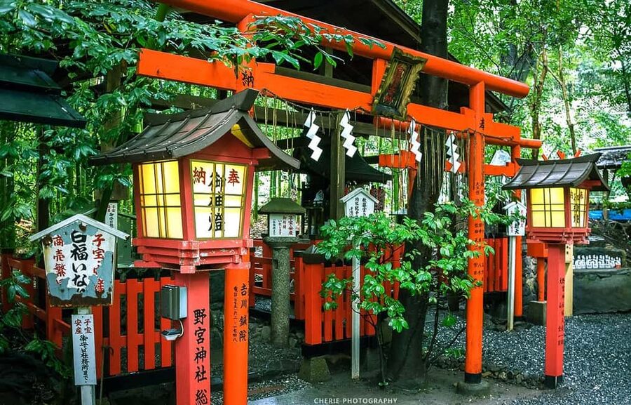 From Osaka: Kyoto, Nara, Fushimi Inari & Arashiyama Day Tour - Meeting at Nipponbashi: The Start That Sets the Tone