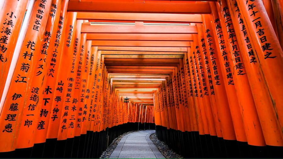 From Osaka/Kyoto: Private Kyoto and Nara Day Trip - Private Kyoto and Nara, in 10 hours: why this format works