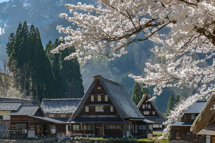 From Osaka/Kyoto: Shirakawa-go and Gokayama Day Tour - Key points