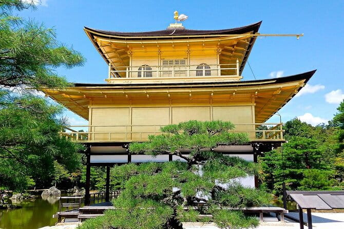 From Osaka or Kyoto: Kyoto and Nara 1-Day Bus Tour - Key things worth knowing
