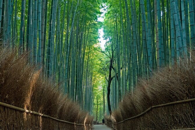 From Osaka or Kyoto: Kyoto and Nara 1-Day Bus Tour - How the Osaka or Kyoto to Nara to Kyoto route makes sense