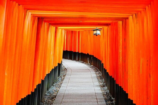 From Osaka or Kyoto: Kyoto and Nara 1-Day Bus Tour - Arashiyama Bamboo Grove plus nearby Kyoto nature stops