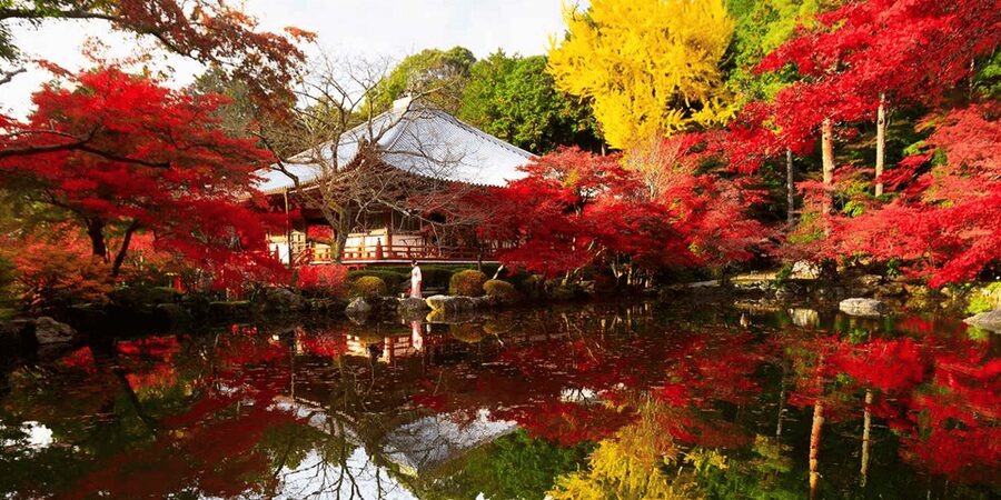 From Osaka: Private Customized Day Tour to Kyoto - Kiyomizu-dera and the streets of old Kyoto (45 minutes)