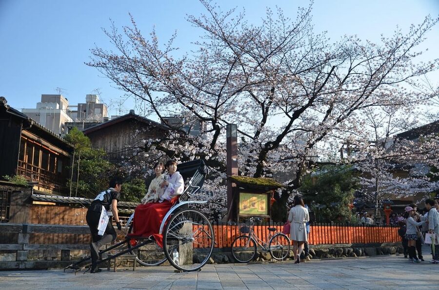 From Osaka: Private Customized Day Tour to Kyoto - Transportation style: private car, not a walk-with-you guide