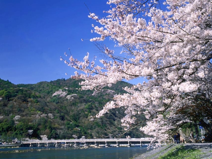 From Osaka: Sagano Train Ride and Kyoto Guided Day Tour - Key things to know before you go