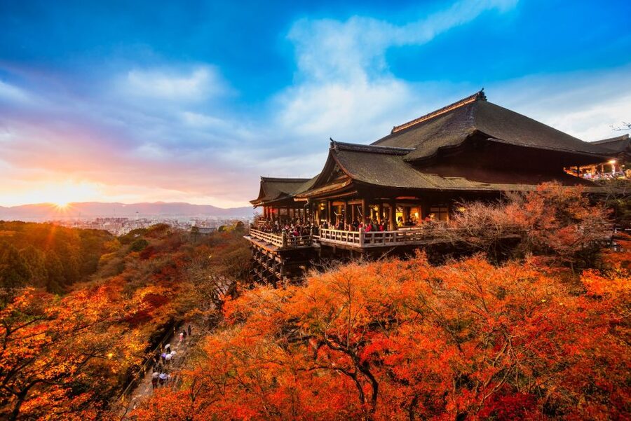 From Osaka: Sagano Train Ride and Kyoto Guided Day Tour - Comfort on wheels, plus guide skills that make the day easier