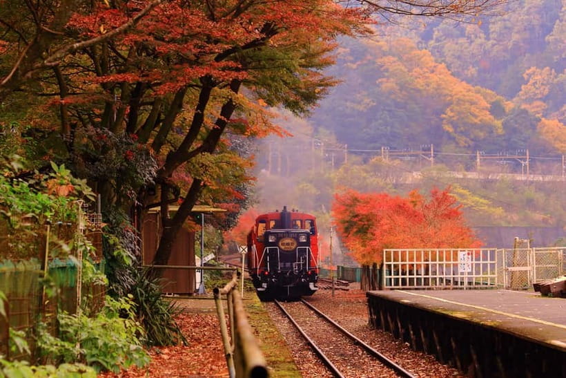 From Osaka: Sagano Train Ride and Kyoto Guided Day Tour - Arashiyama and the bamboo walk that still feels peaceful