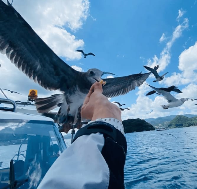 FromOsaka/Kyoto:Hiroshima & Miyajima Private Tour with Lunch - Hiroshima and Miyajima, the practical way: a 12-hour private day