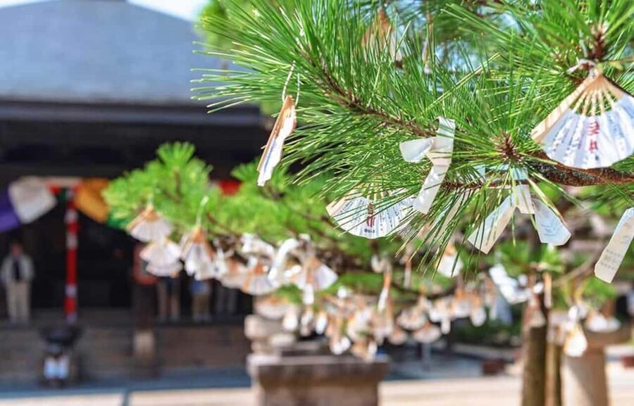 FromOsaka/Kyoto:Hiroshima & Miyajima Private Tour with Lunch - Atomic Bomb Dome viewing: how to make a short stop feel like it lasts