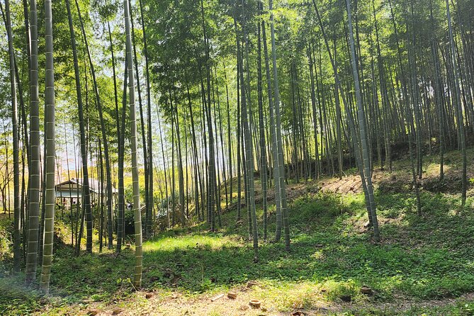 Full Day Guided Tour to Kyoto Arashiyama from Osaka by Van - From Osaka to Arashiyama: the ride that sets your pace
