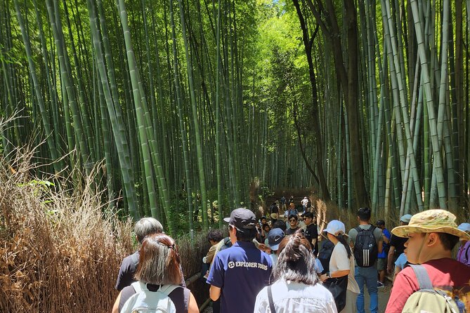 Full Day Guided Tour to Kyoto Arashiyama from Osaka by Van - Tenryu-ji: walking the grounds with a guide in the lead