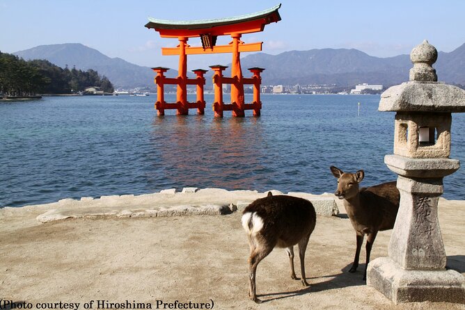 Full Day Hiroshima and Miyajima Tour by Bullet Train from Kyoto - Morning Start in Kyoto, Ready for the Shinkansen