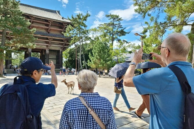 Full Day Nara Deer, Temple, Shrine, Activities & Tea Ceremony - Nara Park walking route, deer cookies, and the Deer Challenge