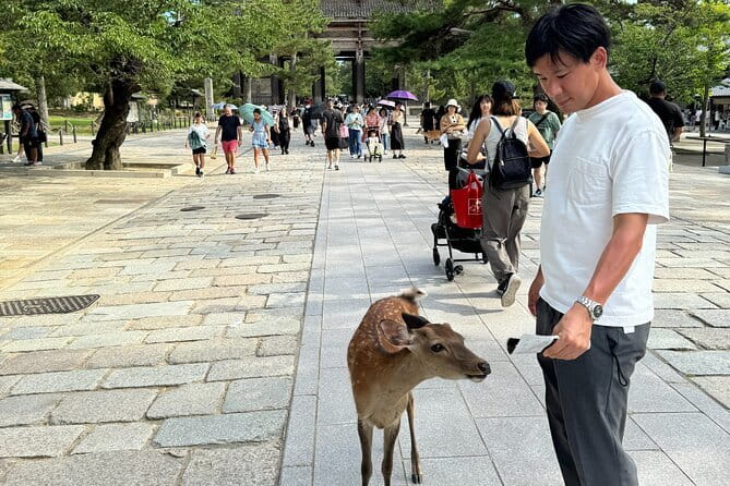 Full Day Nara Deer, Temple, Shrine, Activities & Tea Ceremony - Origami, calligraphy, and photo time at Nara Visitor Center