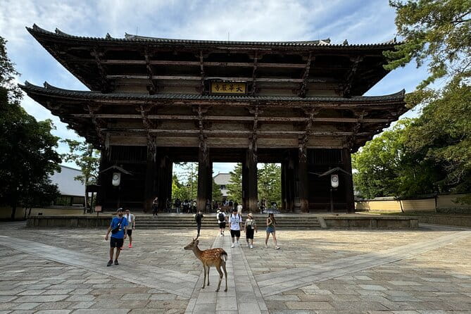Full Day Nara Deer, Temple, Shrine, Activities & Tea Ceremony - Gangoji Temple and the demon origin story